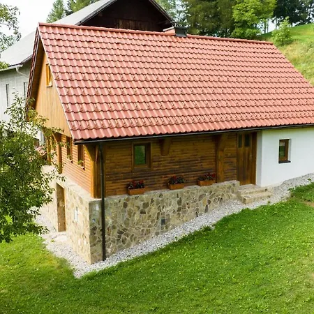 Grunt Sonek Appartement Mislinja