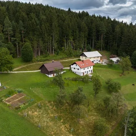 Grunt Sonek Apartment *