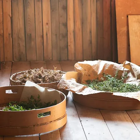 Grunt Sonek Appartement *