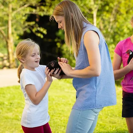 Apartament Grunt Sonek