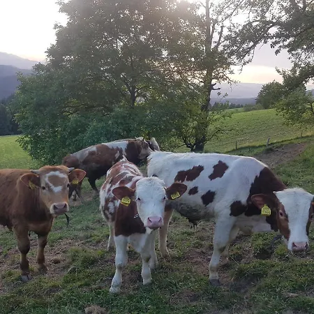 Apartament Grunt Sonek *