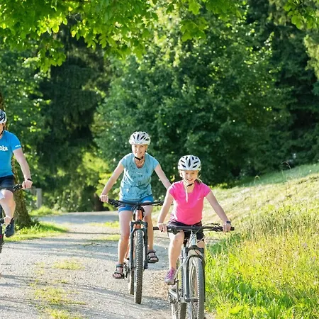 Grunt Sonek Apartman Mislinja