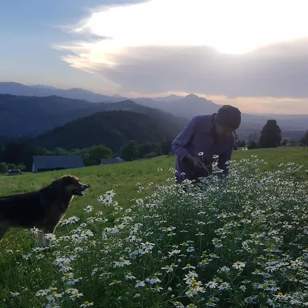 Apartman Grunt Sonek Mislinja