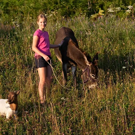 Grunt Sonek Appartamento Mislinja