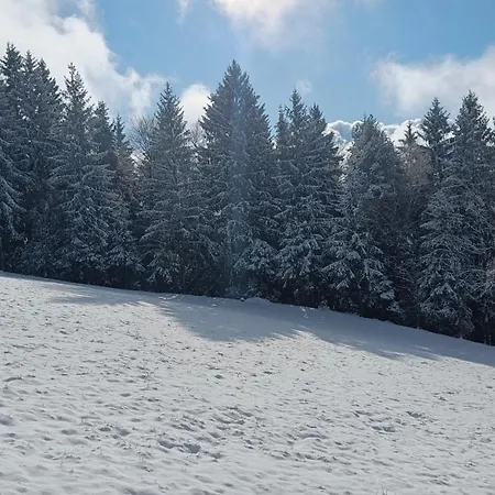 Grunt Sonek Appartement