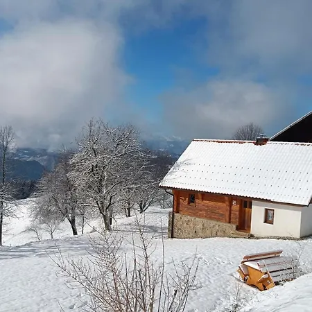 Grunt Sonek Apartment *