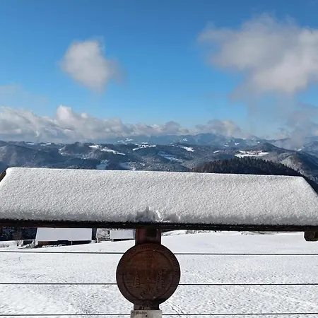 Grunt Sonek Apartment