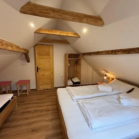 Grunt Sonek Appartement Mislinja