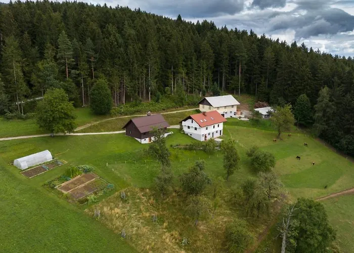 Grunt Sonek شقة *