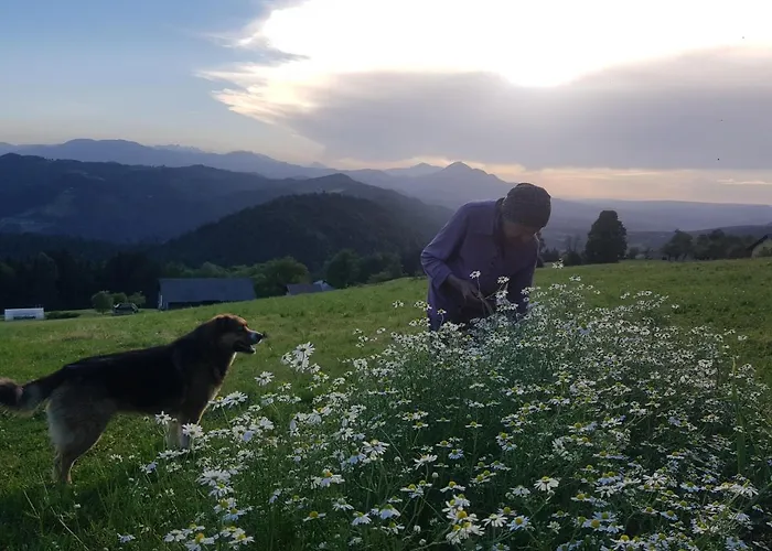 شقة Grunt Sonek Mislinja