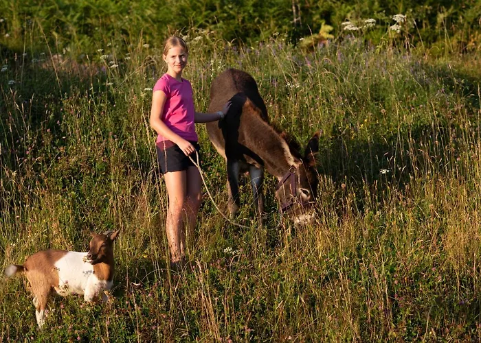 Grunt Sonek شقة Mislinja