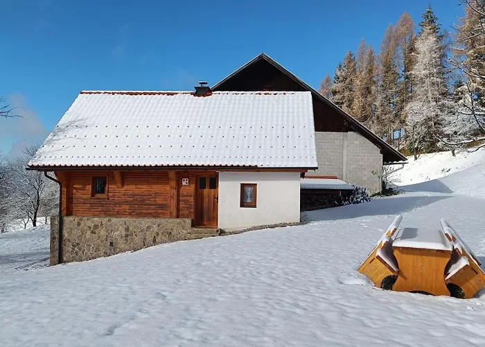 Grunt Sonek * Mislinja