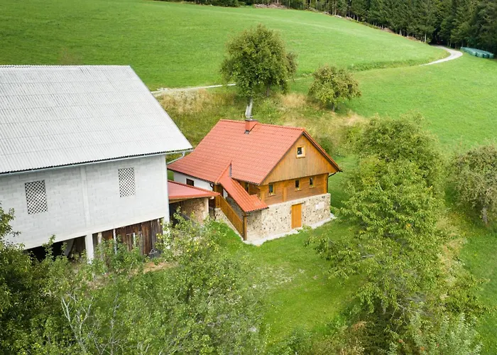 Grunt Sonek * Mislinja